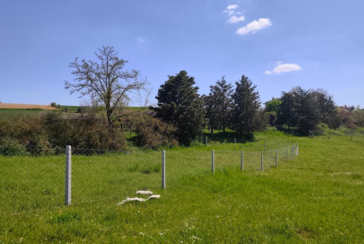 Kırklareli Değirmencik Köyünde Yatırımlık Satılık Tarla