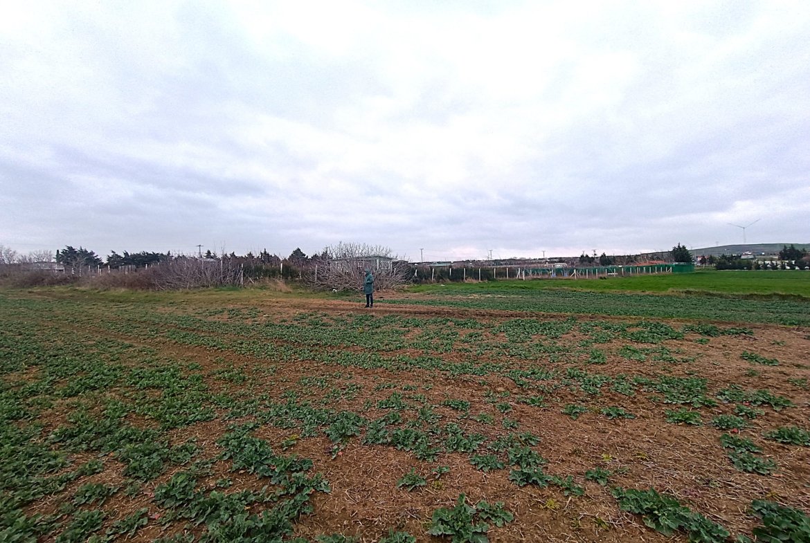 Silivri İlçesi Fenerköy Mahallesi Merkeze Yakın Yatırımlık Satılık Tarla