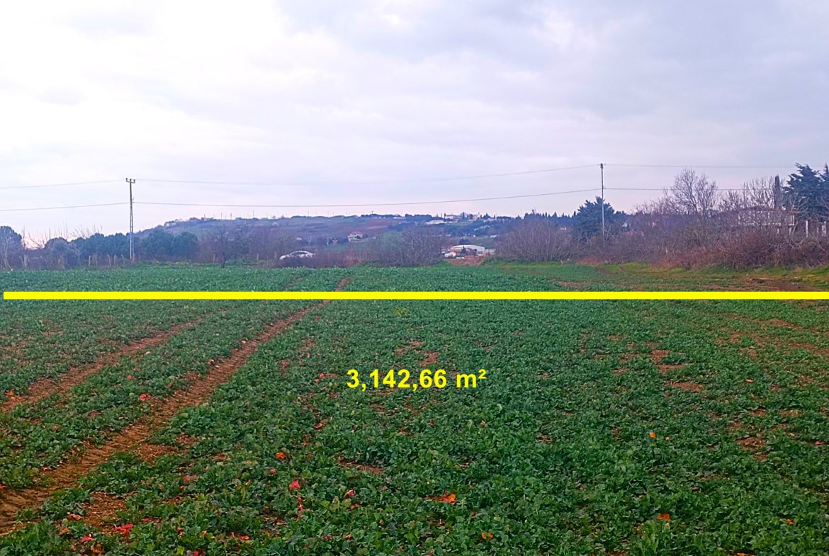 Silivri İlçesi Fenerköy Mahallesi Merkeze Yakın Yatırımlık Satılık Tarla